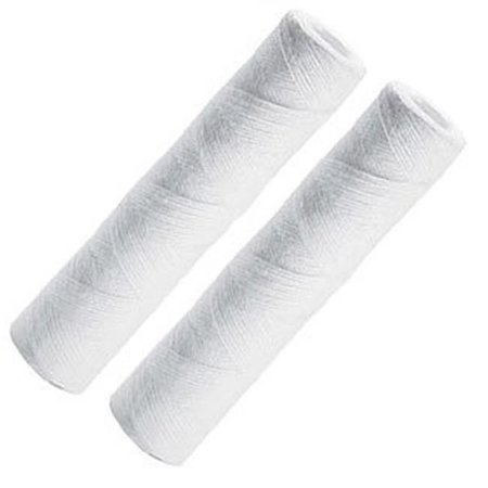 Commercial Water Distributing Commercial Water Distributing OMNIFILTER-RS2DS Whole House Replacement Water Filter Cartridge - Pack of 2 OMNIFILTER-RS2DS
